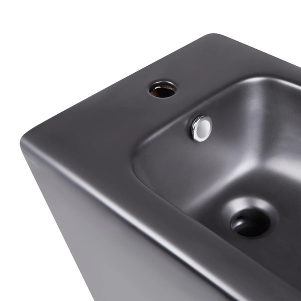 Акційний набір: Унітаз підлоговий Robin Ultra Quiet QT13226083AMB 660 x 360 x 855 Black + Біде підлогове Robin QT13442141CMB 565 x 360 x 405 Black