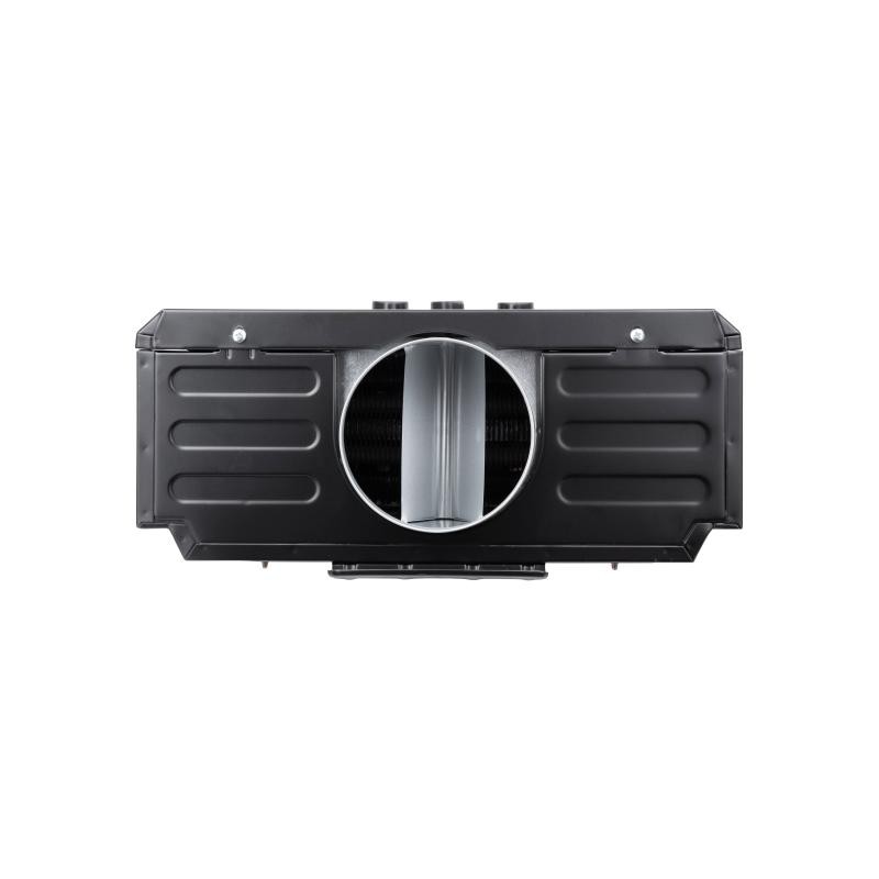 Колонка газовая дымоходная Aquatronic A21 Black 10 л