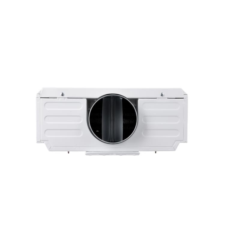 Колонка газовая дымоходная Aquatronic A21 White 10 л