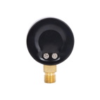 Манометр Thermo Alliance Standart 50 мм 1/4", нижнее подключение (SD1704B)