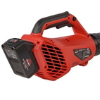 Воздуходувка аккумуляторная Vitals Master ALP 1850n BL Kit