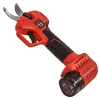 Секатор аккумуляторный Vitals Master AG 1225ck BL Kit