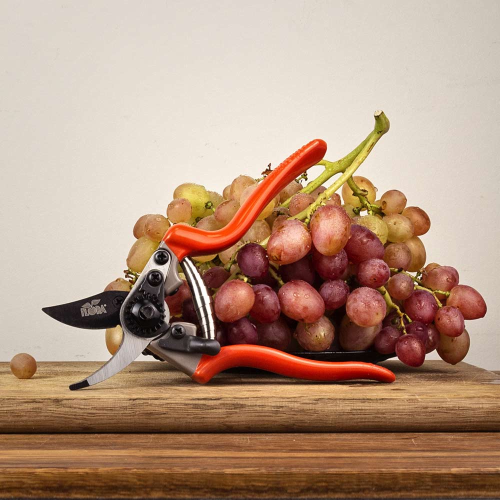 Секатор Flora обвідний 200 мм нержавіюча сталь