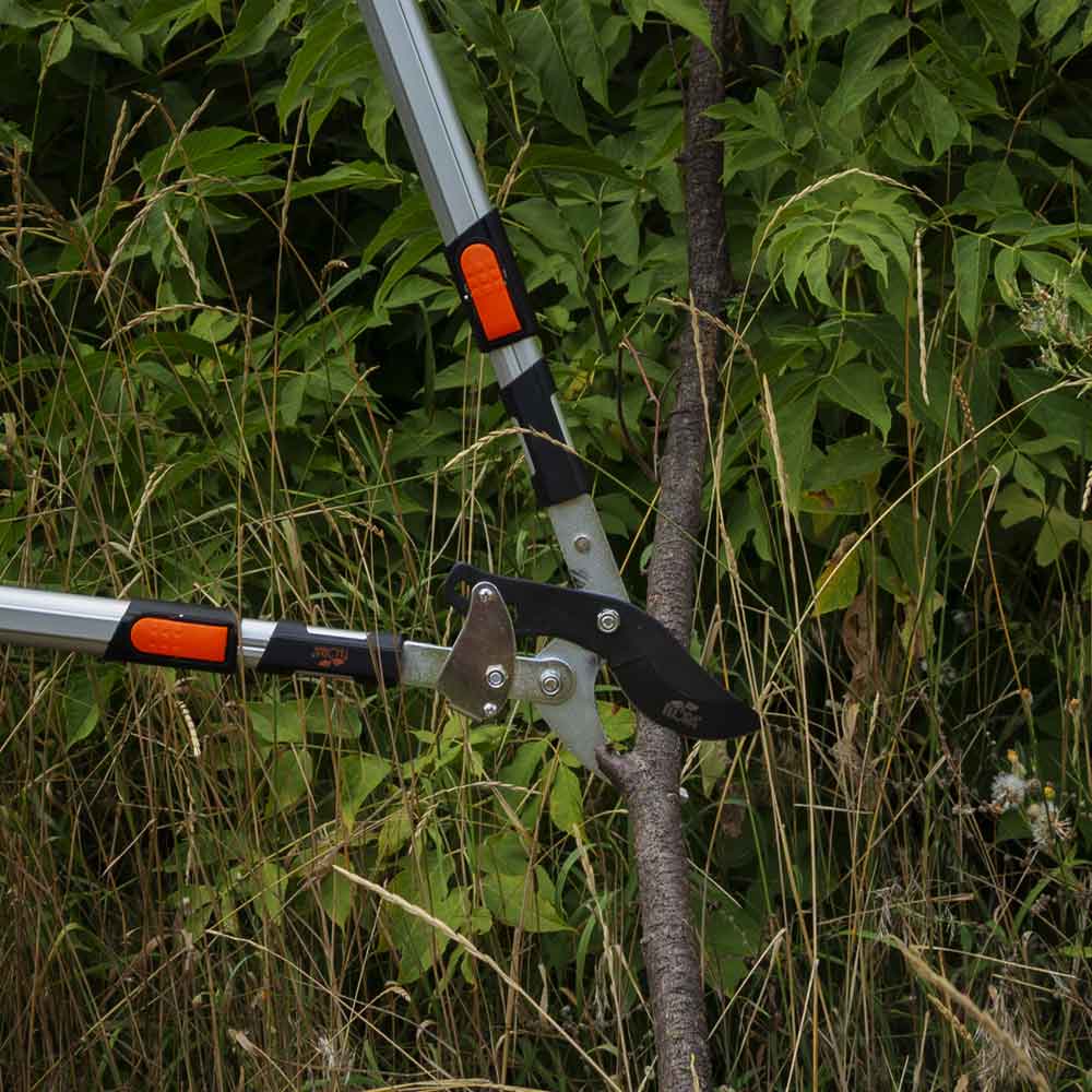 Сучкоріз Flora площинний телескопічний храповий алюмінієві рукоятки 700-874 мм