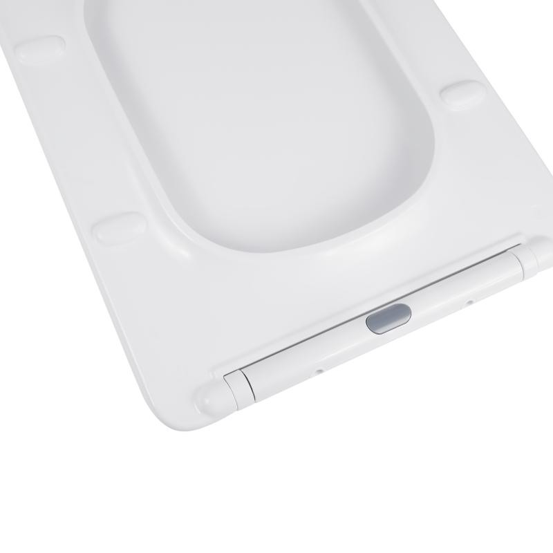 Сидіння для унітаза Qtap Kalao з мікроліфтом Slim (QT08991213AW)