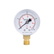 Манометр Thermo Alliance Standart 50 мм 1/4", нижнее подключение (SD1704B)